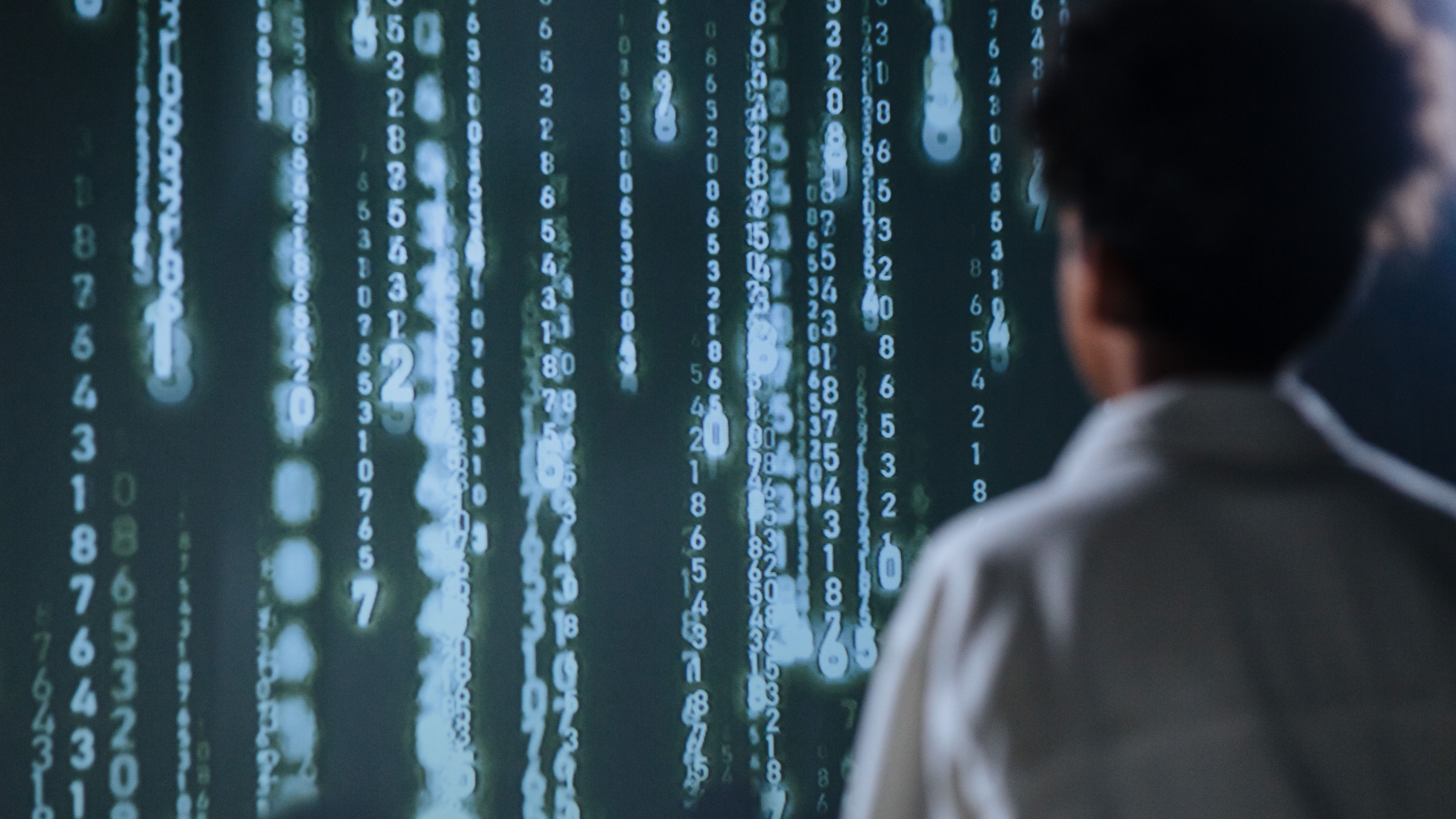 White hat hacker